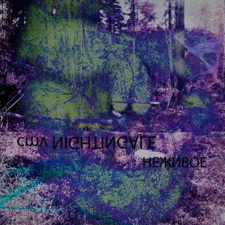 UMPAKO-62: cmv Nightingale / Nezhivoe (Experimental, Psychedelic, Ambient, Breakbeat)