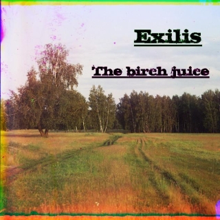 UMPAKO-96: Exilis / The birch juice (Experimental, Ambient, Trip-Hop)