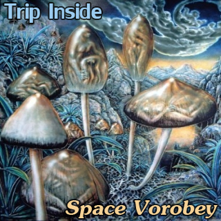 UMPAKO-33: Space Vorobey / Trip Inside (Experimental, Psychedelic)